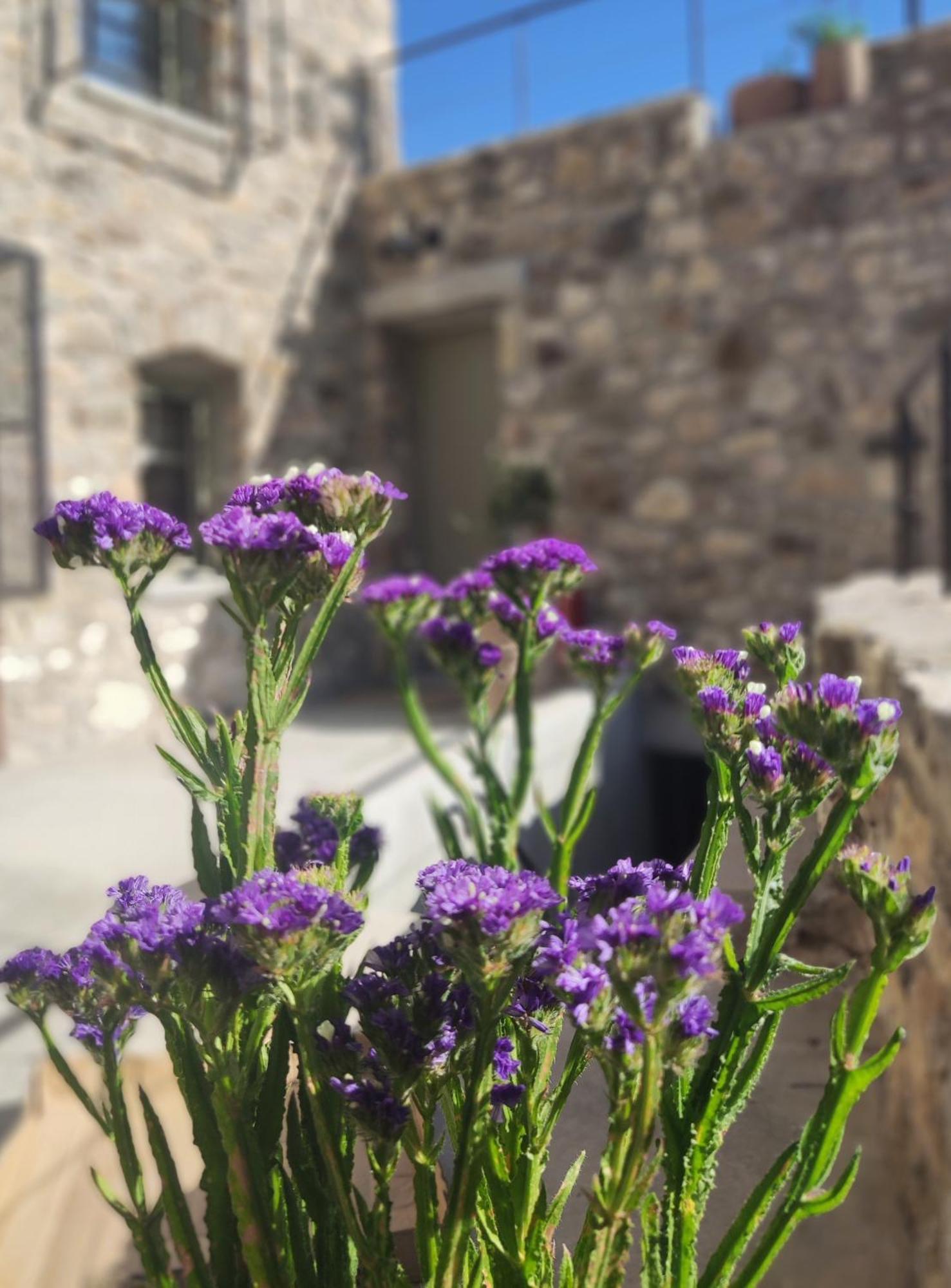 Pyrgi Cretan Living & Spa Pirgos  Exterior foto